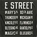 T-shirt: E Street Nation