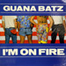 Vinyl: Guana Batz: I'm on Fire 12-inch - UK